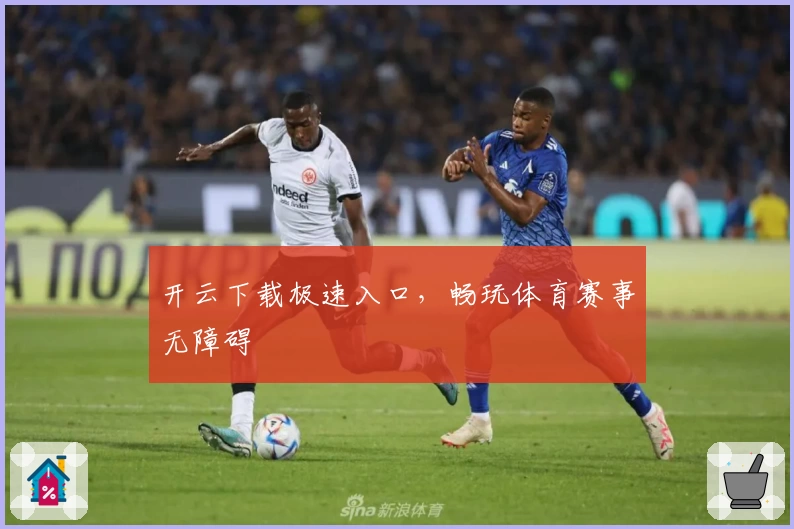 开云下载极速入口，畅玩体育赛事无障碍