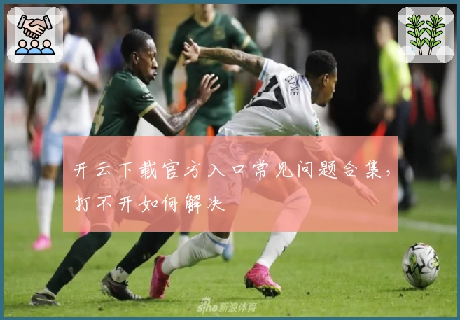 开云下载官方入口常见问题合集,打不开如何解决