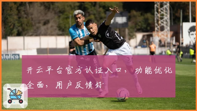 开云平台官方认证入口，功能优化全面，用户反馈好